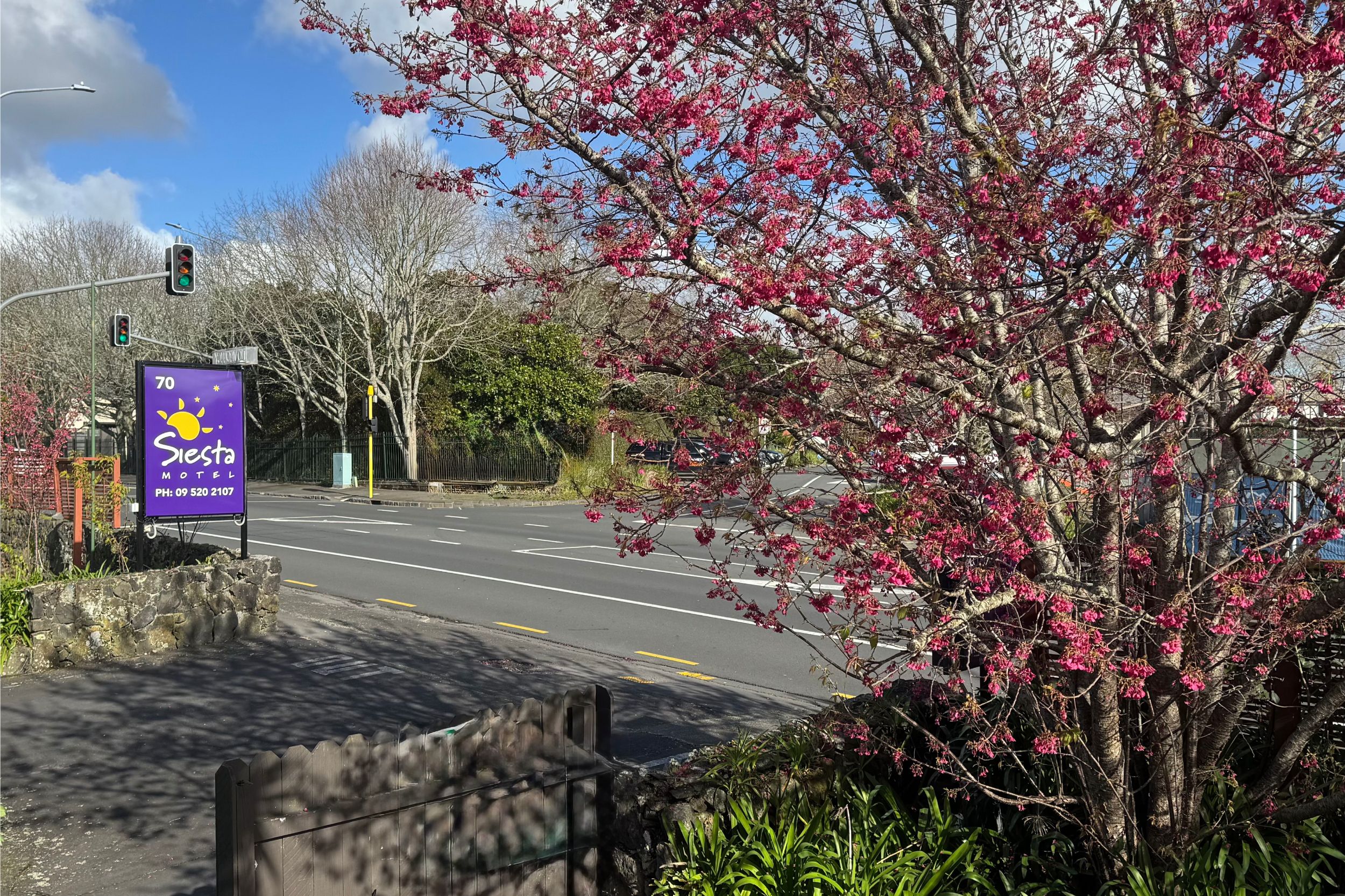 Remuera, Auckland accommodation