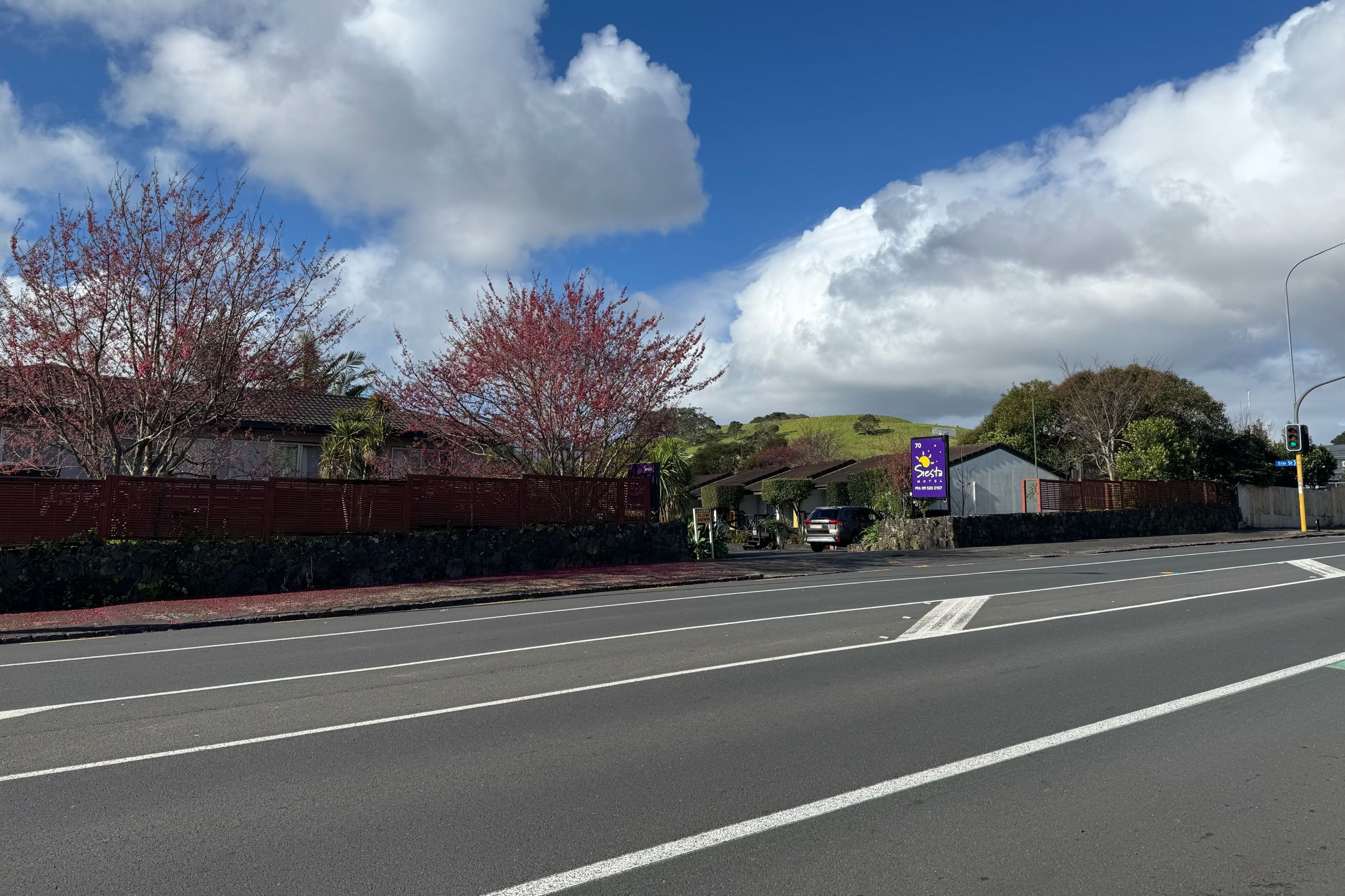 Accommodation in Newmarket, Auckland